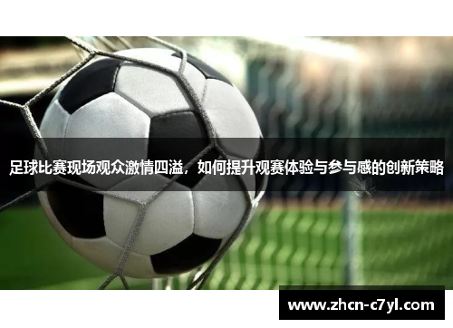 足球比赛现场观众激情四溢，如何提升观赛体验与参与感的创新策略