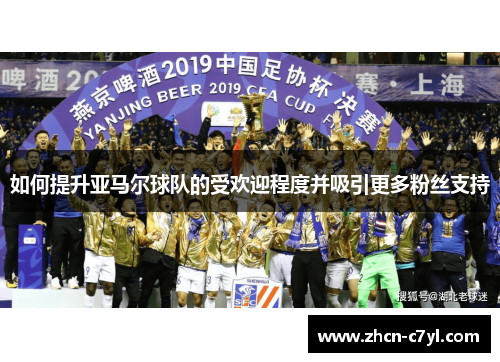 如何提升亚马尔球队的受欢迎程度并吸引更多粉丝支持