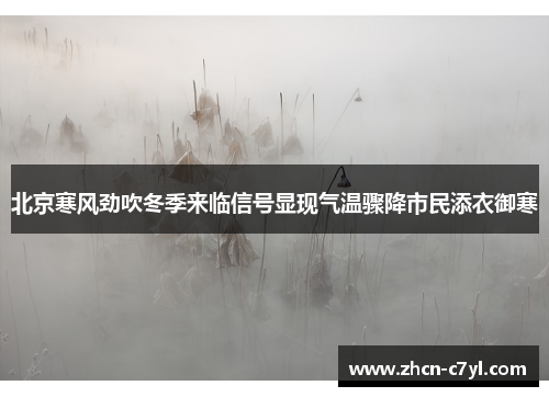 北京寒风劲吹冬季来临信号显现气温骤降市民添衣御寒