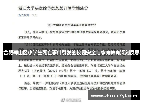 合肥蜀山区小学生死亡事件引发的校园安全与家庭教育深刻反思